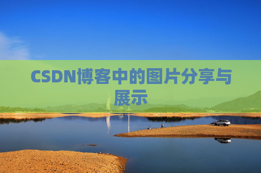 CSDN博客中的图片分享与展示